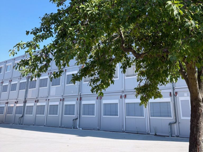 Der dreigeschossige Modulbau der Schule, davor ein Pflaumenbaum im Sommer